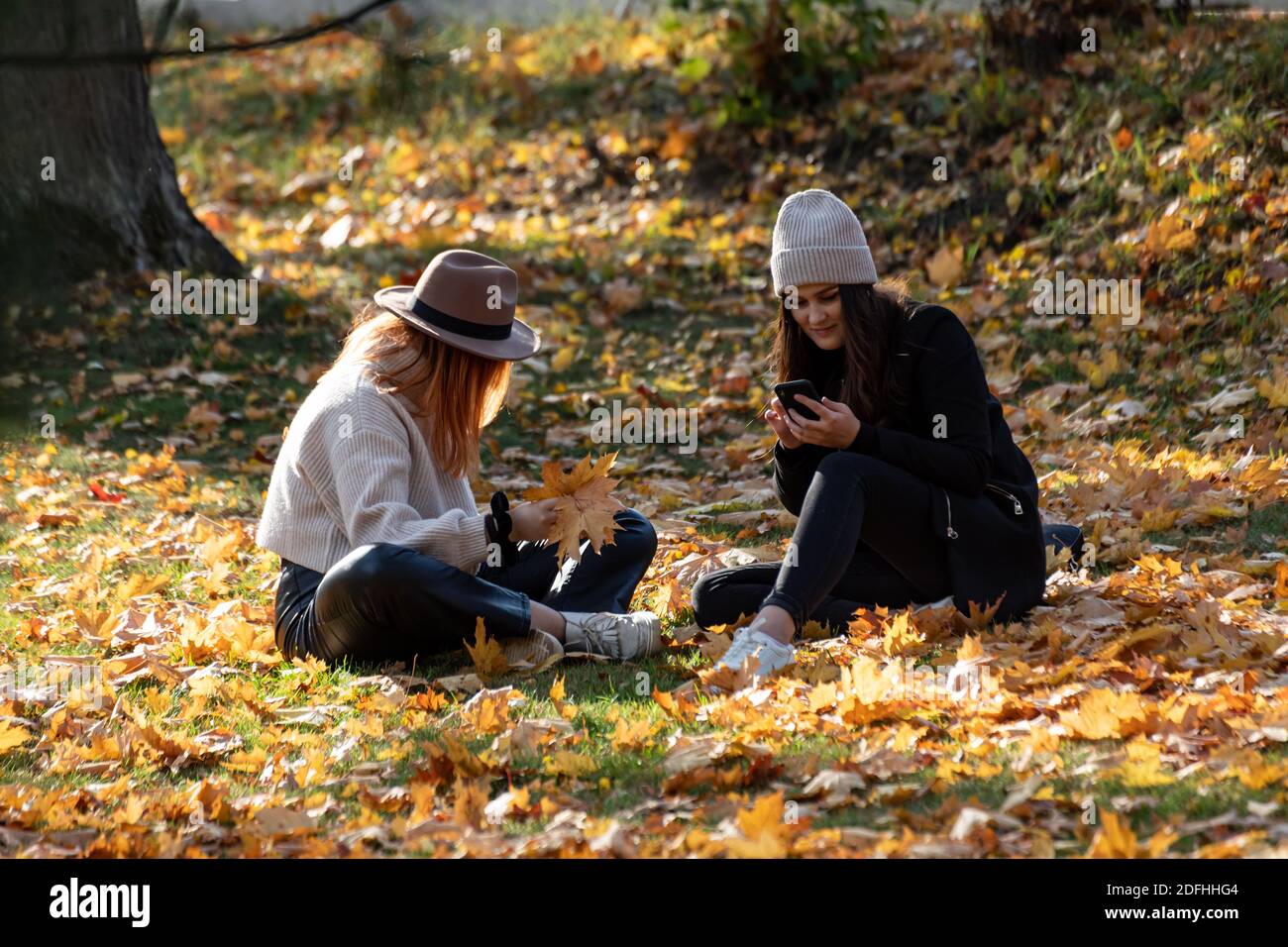 Junge Frauen sitzen auf Gras im Park mit gefallenen Blättern Und Herbstfarben Stockfoto