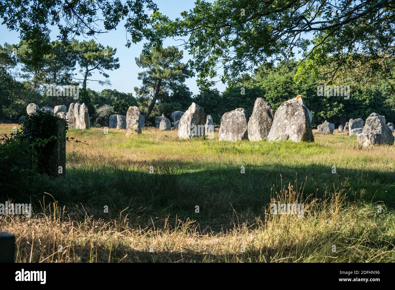 Carnac-Steine, Bretagne, Frankreich, Europa Stockfoto