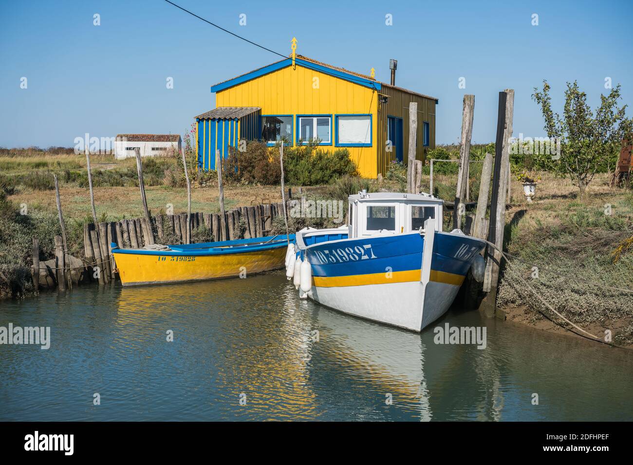Farbenfrohe Austernhütten bei La Baudissire bei Dolus / Saint-Pierre-d'Oleron, Ile d'Oleron, Charente-Maritime, Frankreich, Europa. Stockfoto