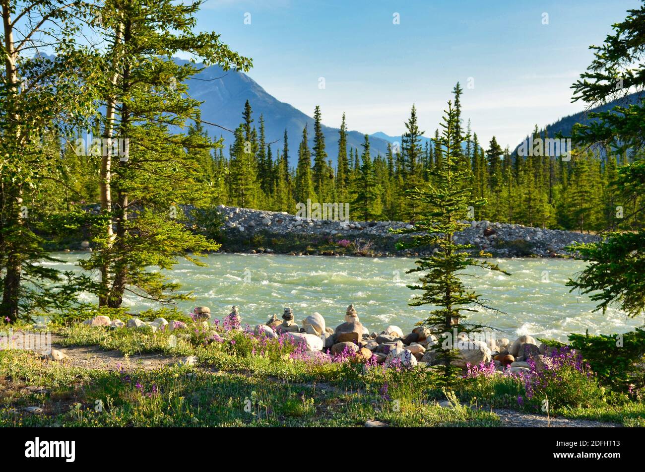 Wanderlandschaft mit Bergen und Flüssen in den felsigen Bergen in Jaspis kanada. Icefield parkway. Reisen Sie durch die Natur kanadas Stockfoto