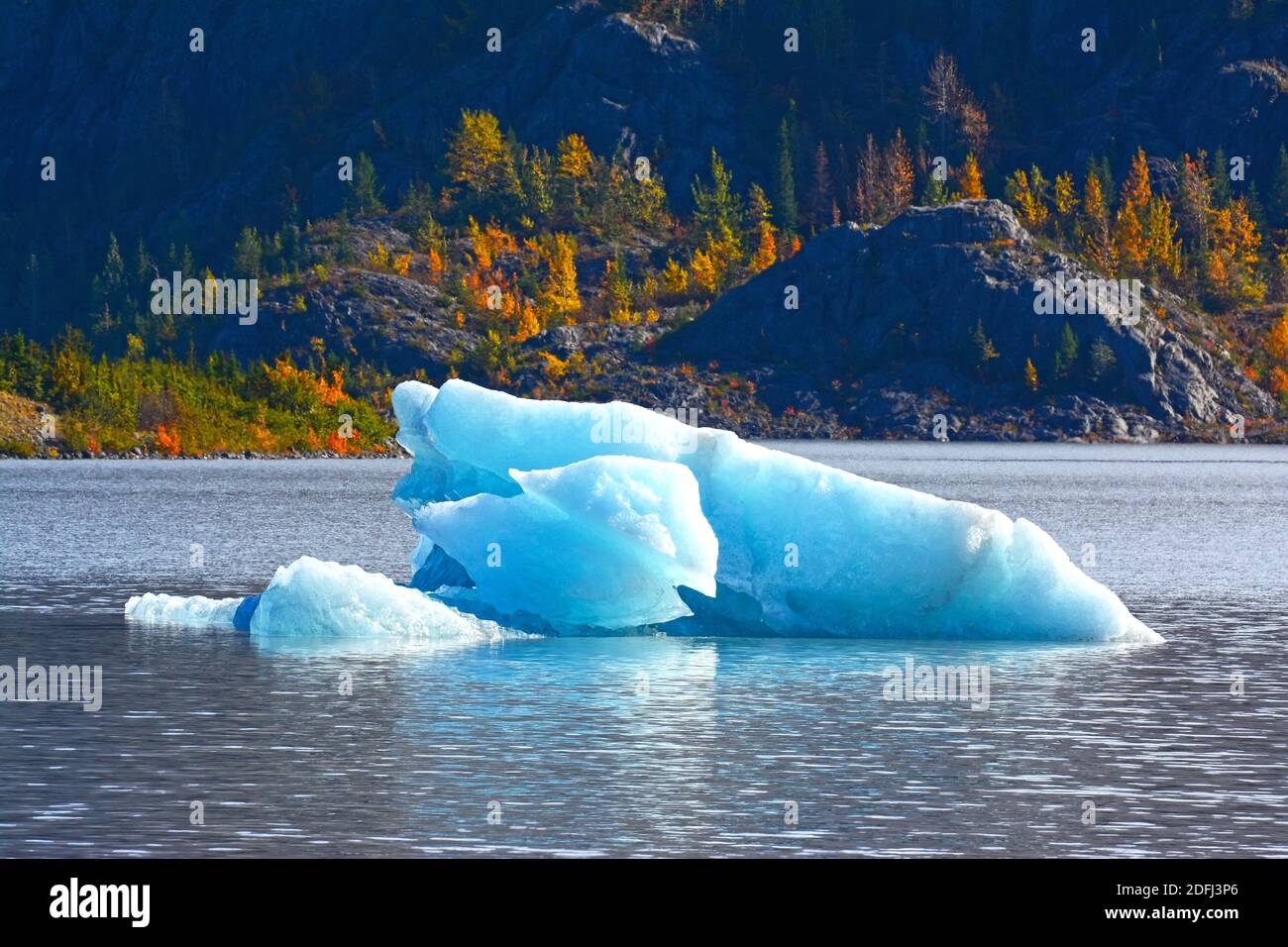 Eis schwimmt in einem Gletschersee, Alaska Stockfoto