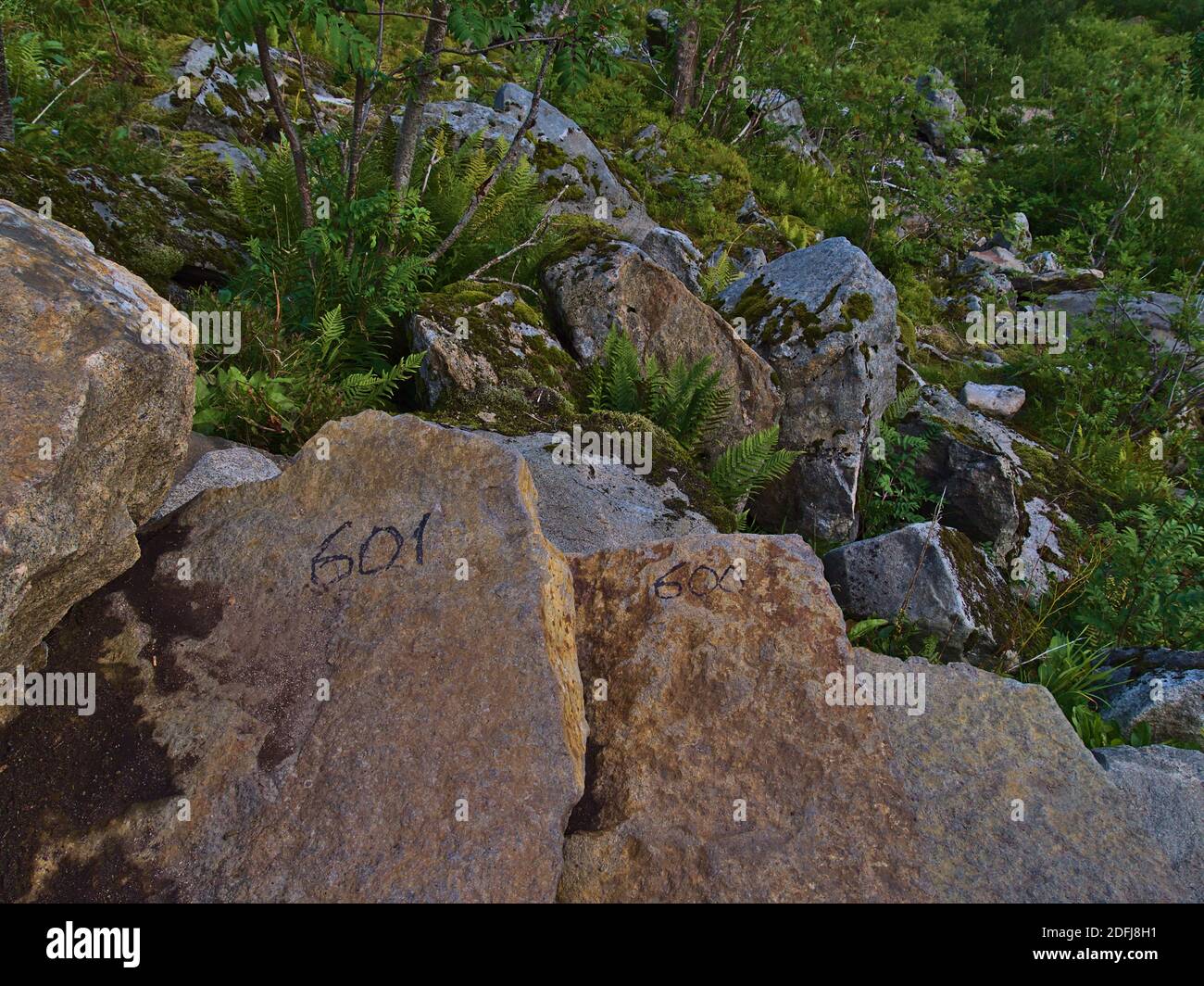 Nummer 600 und 601 von insgesamt 1,560 Stufen auf anstrengendem Wanderweg von Felstreppen zum berühmten Gipfel Reinebringen auf Moskenesøya, Lofoten, Norwegen. Stockfoto