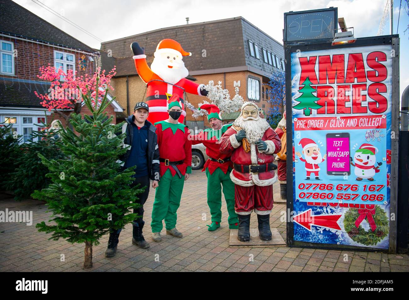 Slough, Berkshire, Großbritannien. Dezember 2020. Weihnachtsbäume zum Verkauf in Slough bringen etwas Heiterkeit zu einem düsteren Dezember. Nach dem Ende der Sperre in England letzte Woche wurde Slough in Covid-19 Tier 3 platziert, was die höchstmöglichen Beschränkungen bedeutet, die Haushalte daran hindert, drinnen sowie in Pubs und Restaurants zu mischen. Slough hat die 14. Höchste Covid-19-Infektionsrate in England. Quelle: Maureen McLean/Alamy Live News Stockfoto