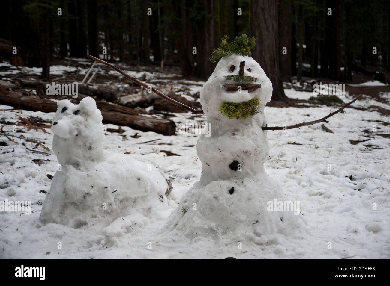 Schneemann und Schneehund umgeben von Wäldern Stockfoto