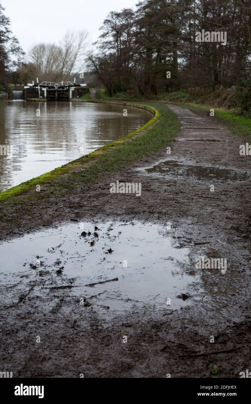 Schlamm und Pfützen auf dem Treidelpfad bei Hatton Locks, Grand Union Canal, Warwickshire, England, Großbritannien Stockfoto