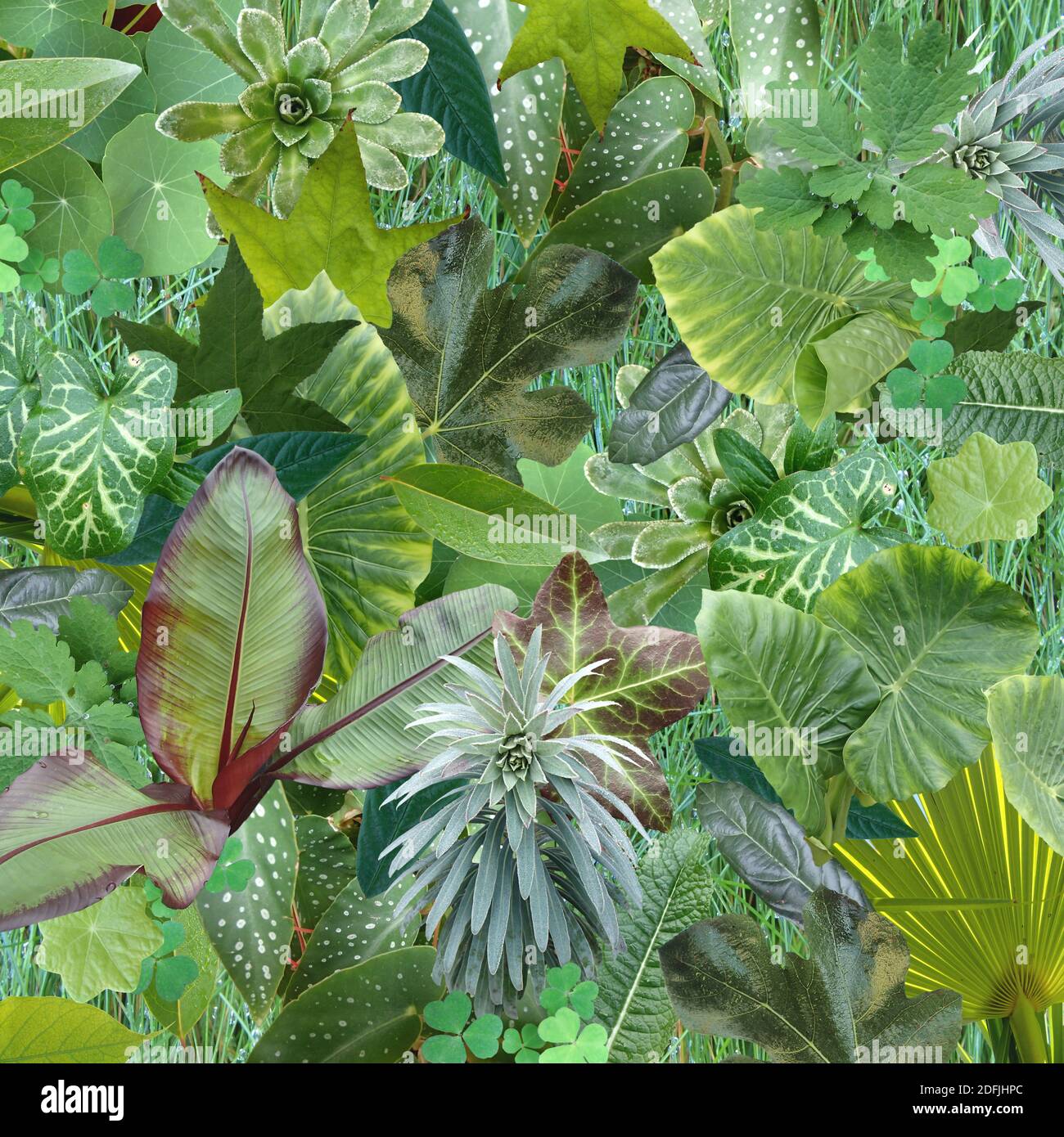 Green Luxiant Fresh Garden Leaves Hintergrund - Collage Stockfoto