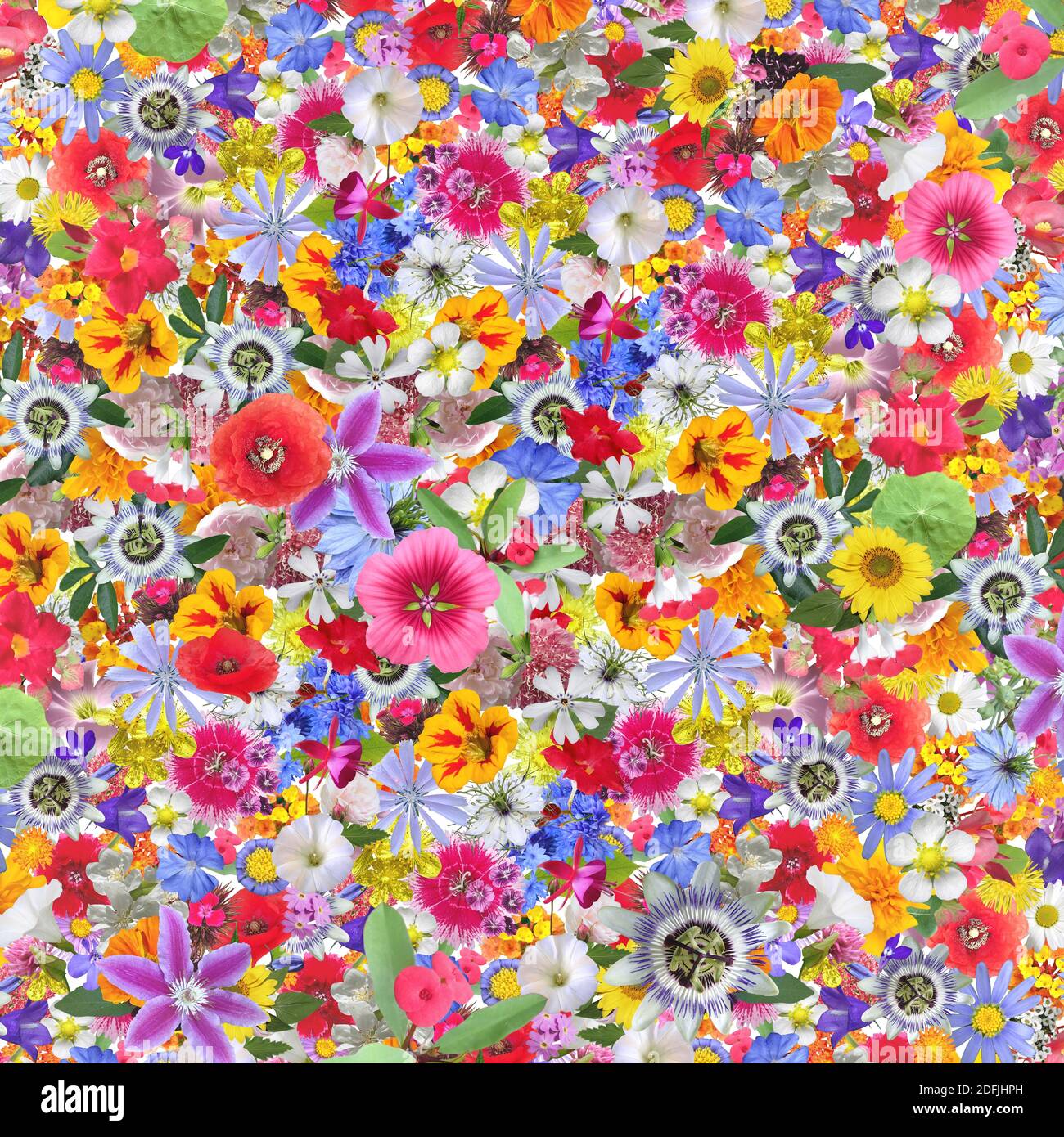 Bunte Garten Blumen Hintergrund - Collage Stockfoto
