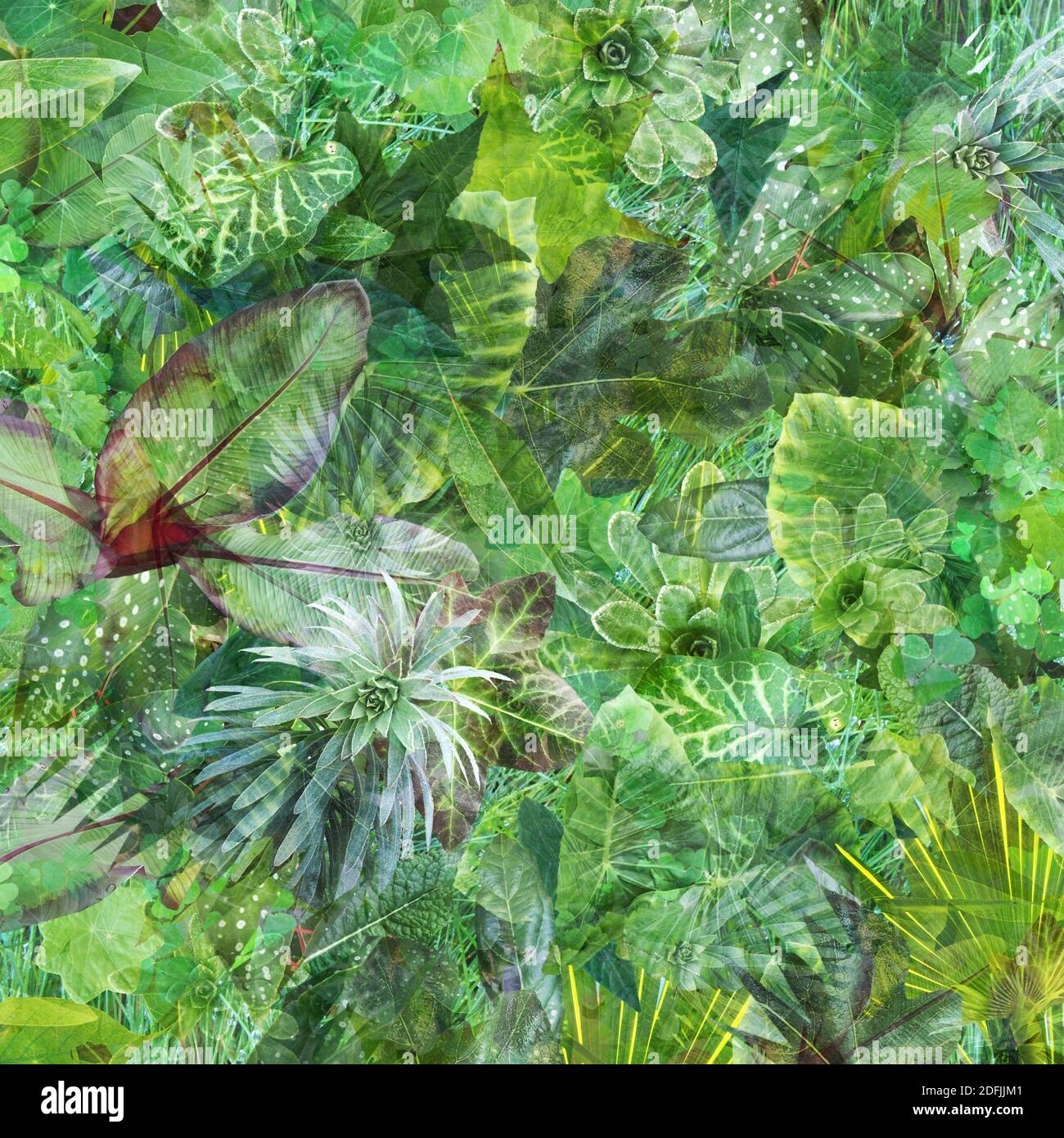 Green Luxiant Fresh Garden Leaves Hintergrund - Collage Stockfoto