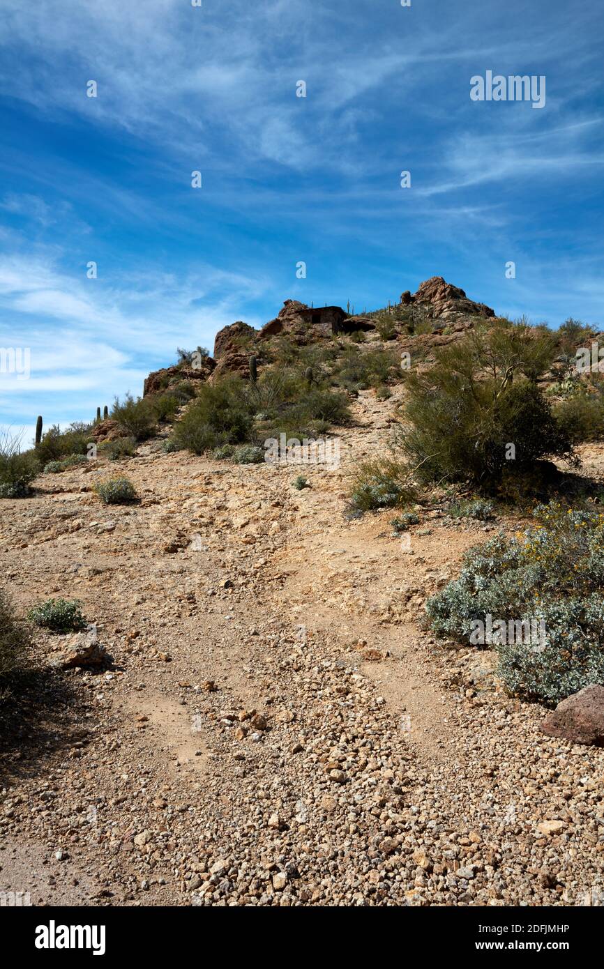 Pfad, der zu einer Schutzhütte in Tucson Mountain Park, Tucson, Arizona führt Stockfoto