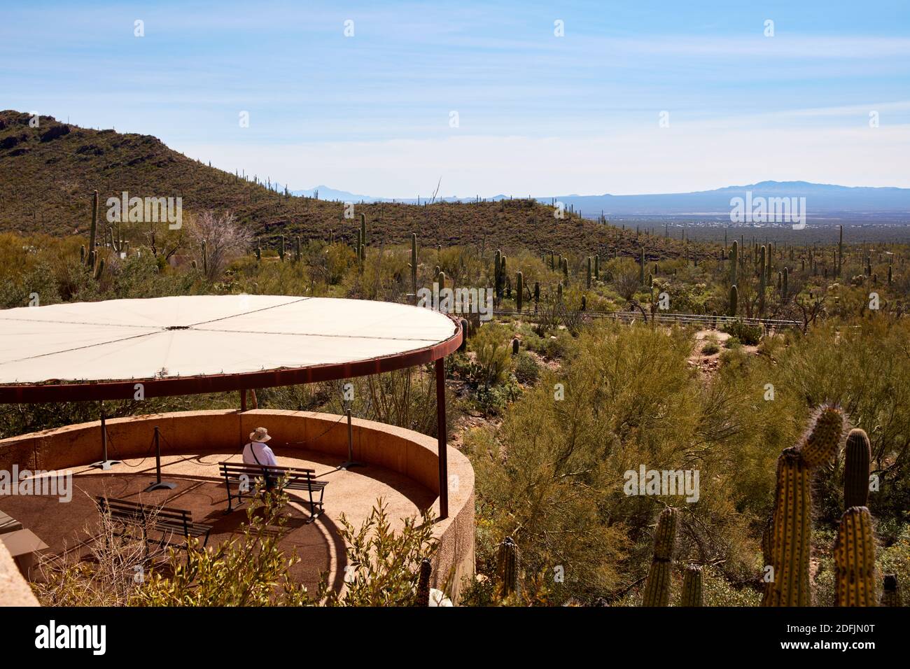 Mann, der an einem malerischen Aussichtspunkt im Arizona Sonora Desert Museum, Tucson, Arizona, sitzt Stockfoto