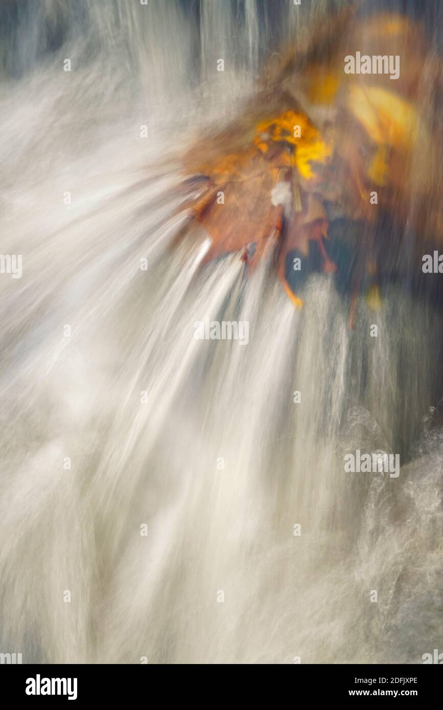 Herbst auf der Little Pigeon River in Tennessee Stockfoto