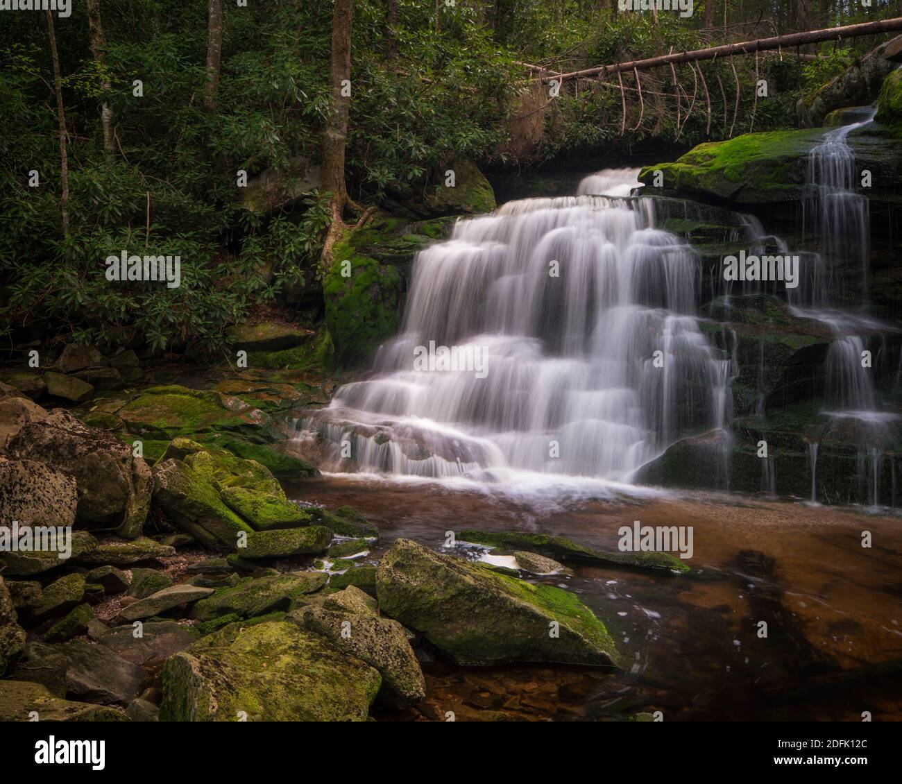 Lower Falls of Shays laufen im Blackwater Falls State Park, WV Stockfoto