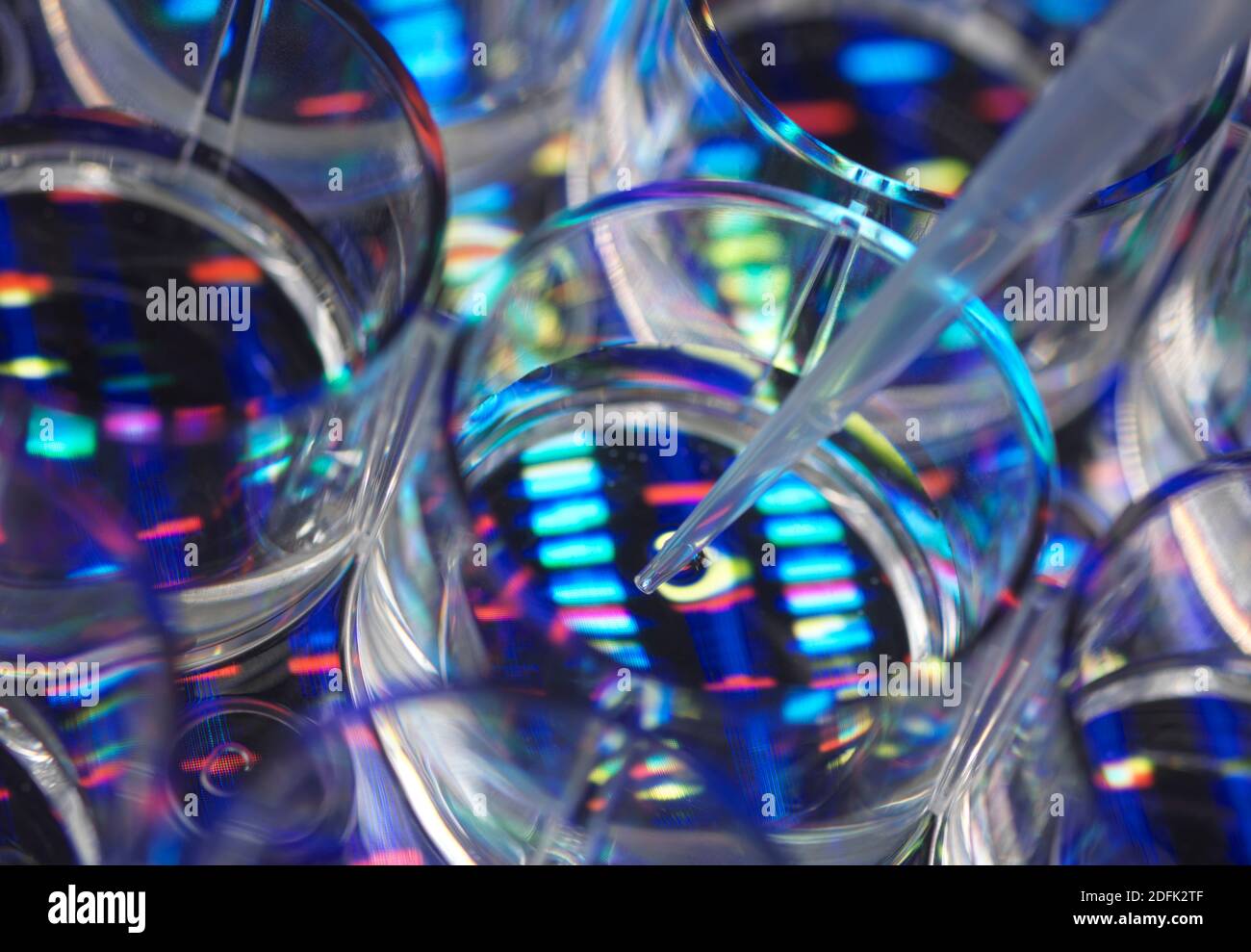 Genforschung, Konzeptbild Stockfoto