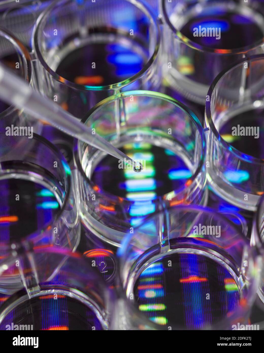 Genforschung, Konzeptbild Stockfoto