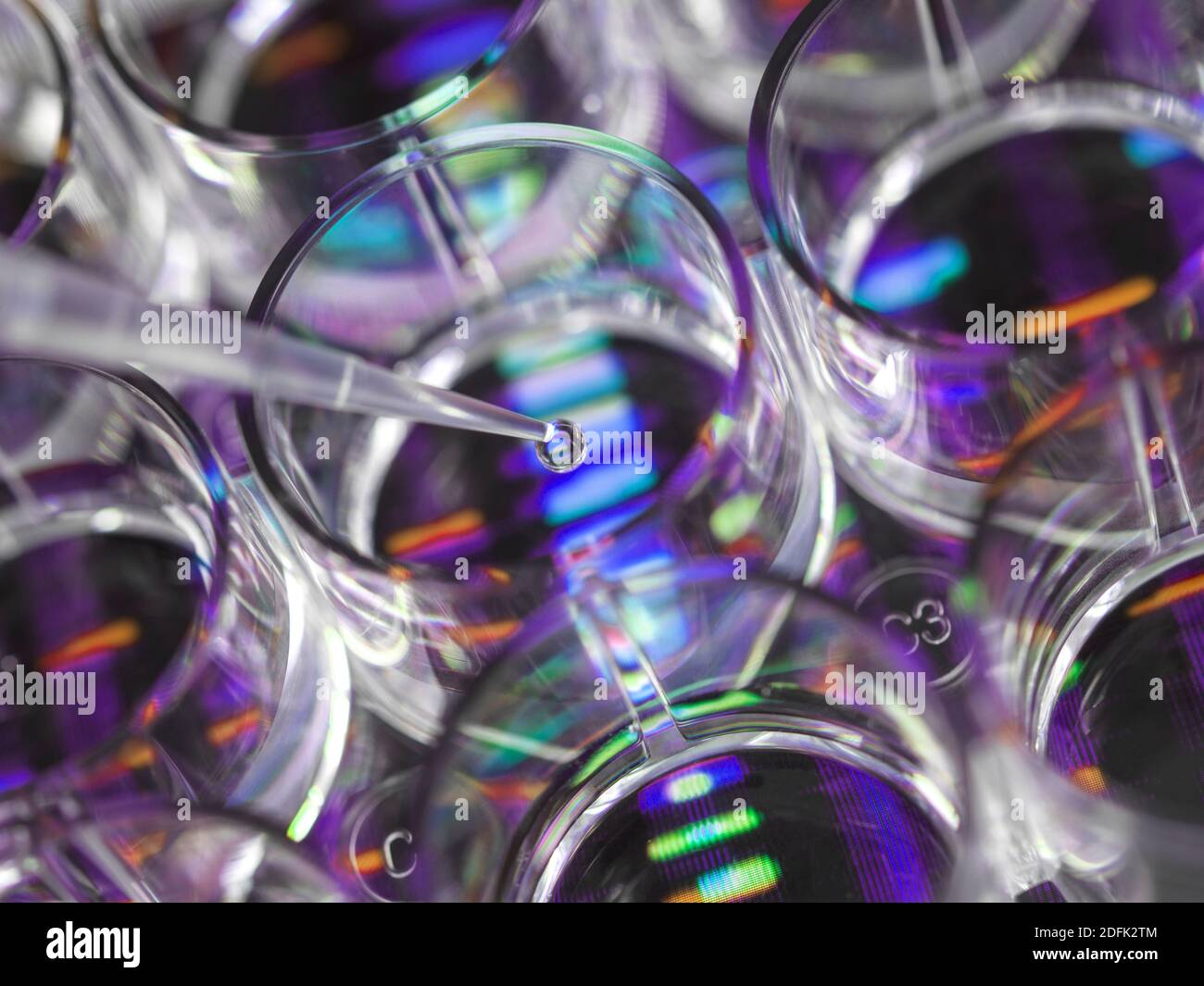 Genforschung, Konzeptbild Stockfoto