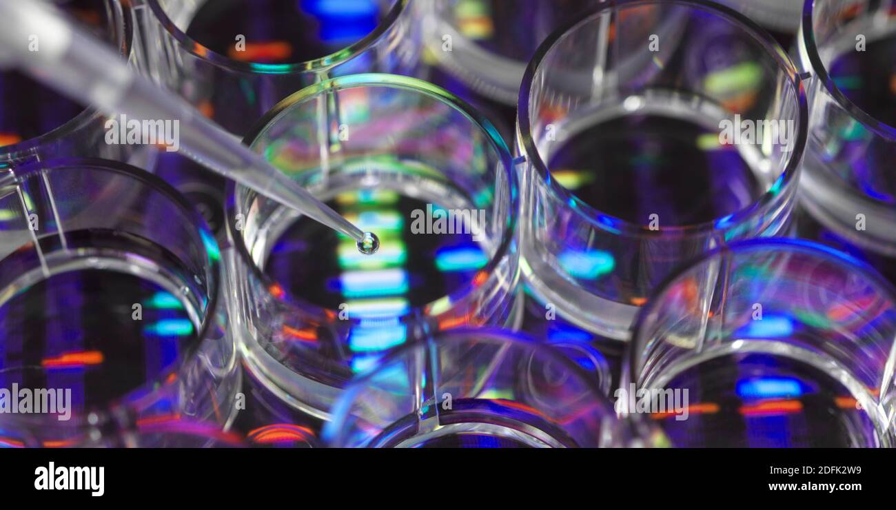 Genforschung, Konzeptbild Stockfoto