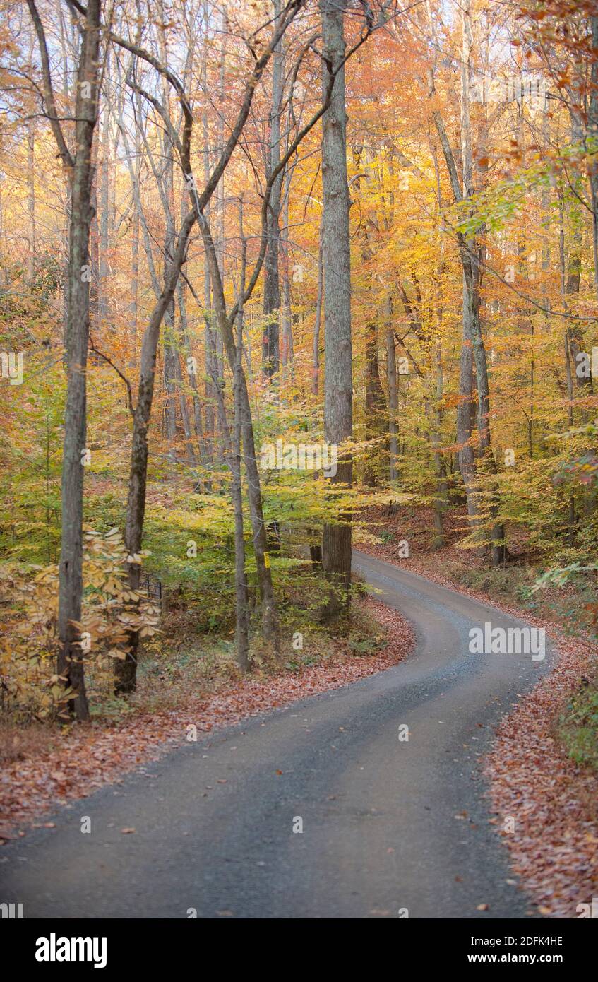 Landschaftlich reizvolle Landstraße schlängelt sich entlang des Bull Run Mountain im Virginia Piedmont. Stockfoto