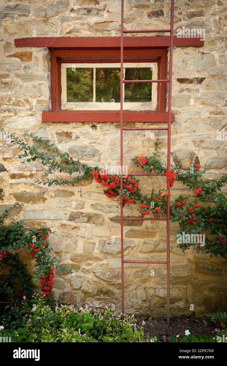 Eine rote Leiter an der Seite eines Steinhauses. Stockfoto