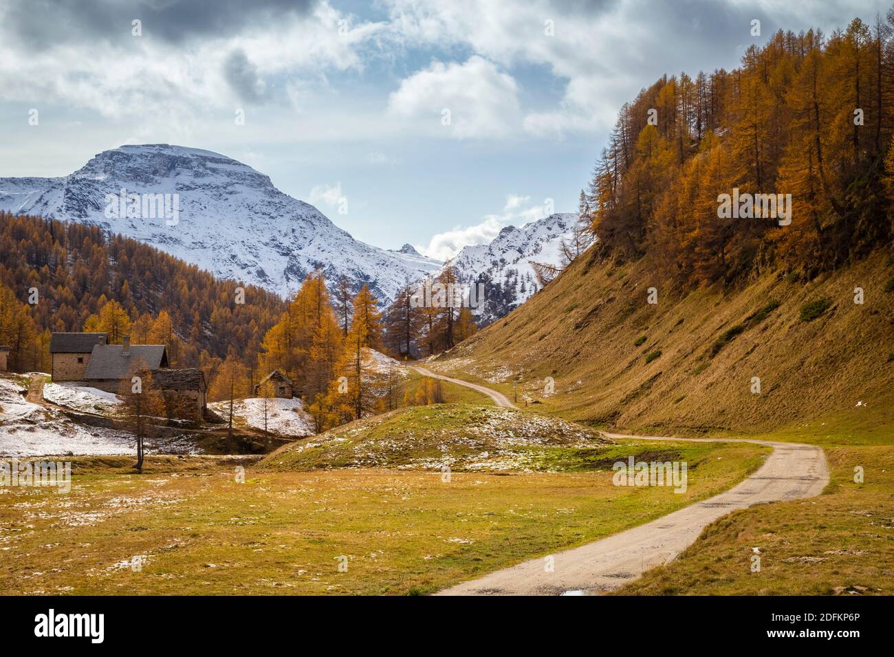 Diei Stockfotos und -bilder Kaufen - Alamy