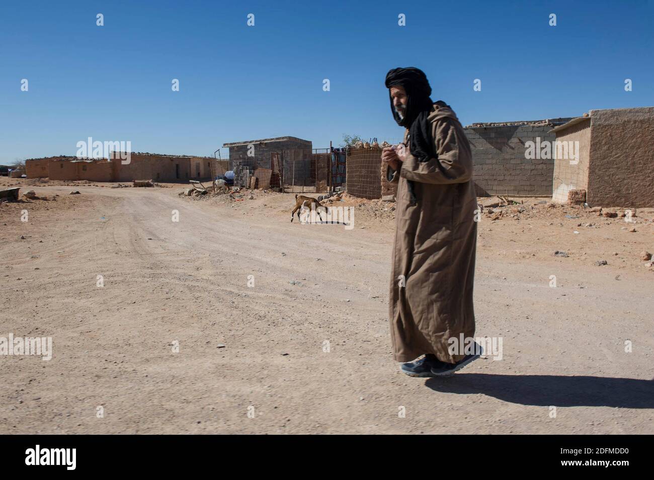 Westlicher sahara krieg Fotos und Bildmaterial in hoher Auflösung Alamy