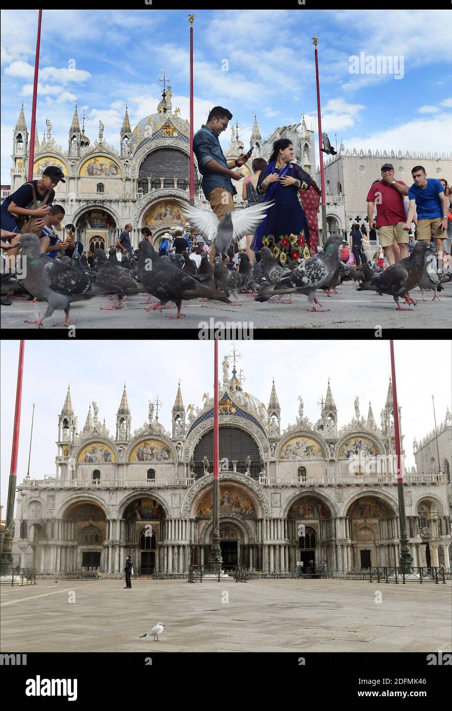 -- OBEN : Venedig von Touristen überfallen : Touristen spielen mit Tauben auf dem Markusplatz, dem Zentrum der touristischen Schwerkraft in Venedig, Italien am 12. August 2017.seit Jahren wird die Stadt Venedig von Touristen überfallen. 30 Millionen pro Jahr ! Ob durch Selfie-Stöcke, laute Wheelie-Koffer oder Menschen, die auf einer der 391 Brücken schnüffeln, gereizt, die Verachtung der Venezianer gegenüber den 30 Millionen Besuchern, die die Stadt jedes Jahr überschwemmen, hat alarmierende Ausmaße erreicht. -- UNTEN: Venedig seit Covid-19 verlassen: Touristen und Tauben haben den Markusplatz in Venedig am 2020. November verlassen. Nach Covid-19, des Stockfoto