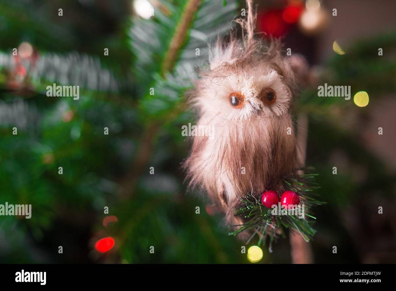 Eule Weihnachtsschmuck. Schöne Nahaufnahme einer kleinen Eule, die auf die Kamera schaute und an einem Weihnachtsbaum hing. Sieht aus wie ein ausgestopftes Tier. Stockfoto