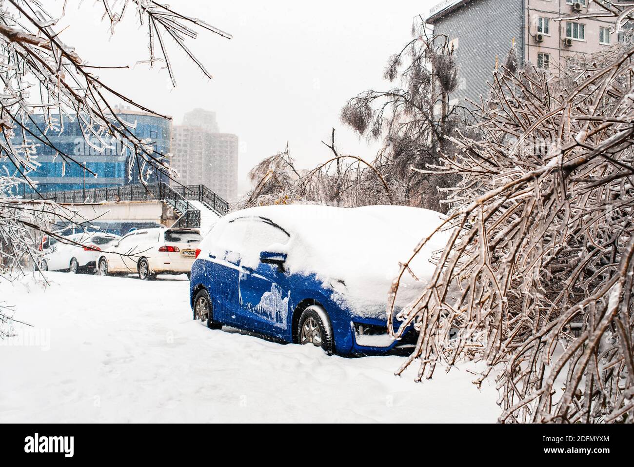 Blaues Auto mit Eis und Schnee bedeckt. Bäume, die mit Eis bedeckt sind und zu Boden gebogen sind. Stadt im Winter. Starker Schneefall. Eissturmzyklon. Stockfoto