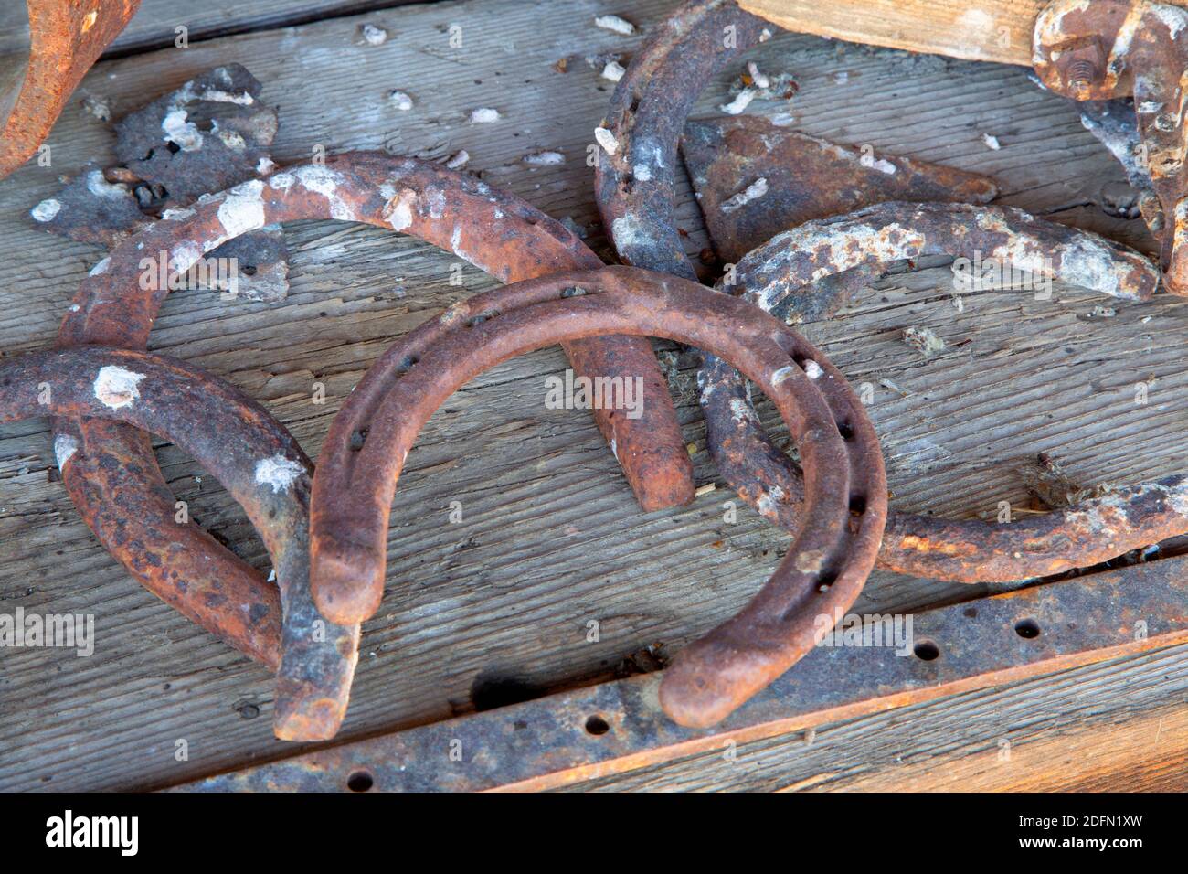 Hufeisen auf der SOD House Ranch, Malheur National Wildlife Refuge, Oregon Stockfotografie Alamy
