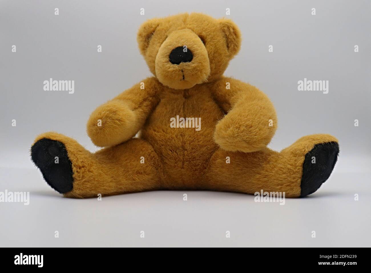 Ein hellbrauner Teddybär Stockfoto