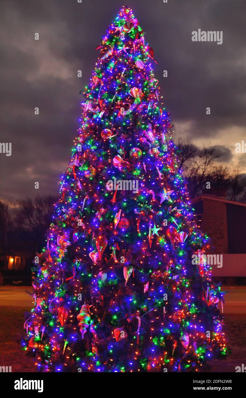 Bartlett, Illinois, USA. Eine große Gemeinschaft Weihnachtsbaum mit mehreren Saiten von Lichtern für die Weihnachtszeit geschmückt. Stockfoto