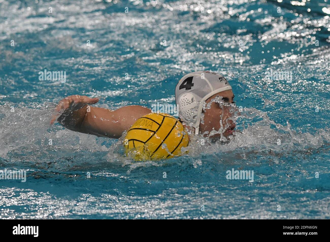 Savona, Italien. Dezember 2020. Savona, Italien, Zanelli Pool, 05. Dezember 2020, JANKOVIC Filip (VK Radnicki) während VK Radnicki gegen OSC Potsdam - len Euro Cup Wasserball Spiel Credit: Danilo Vigo/LPS/ZUMA Wire/Alamy Live News Stockfoto