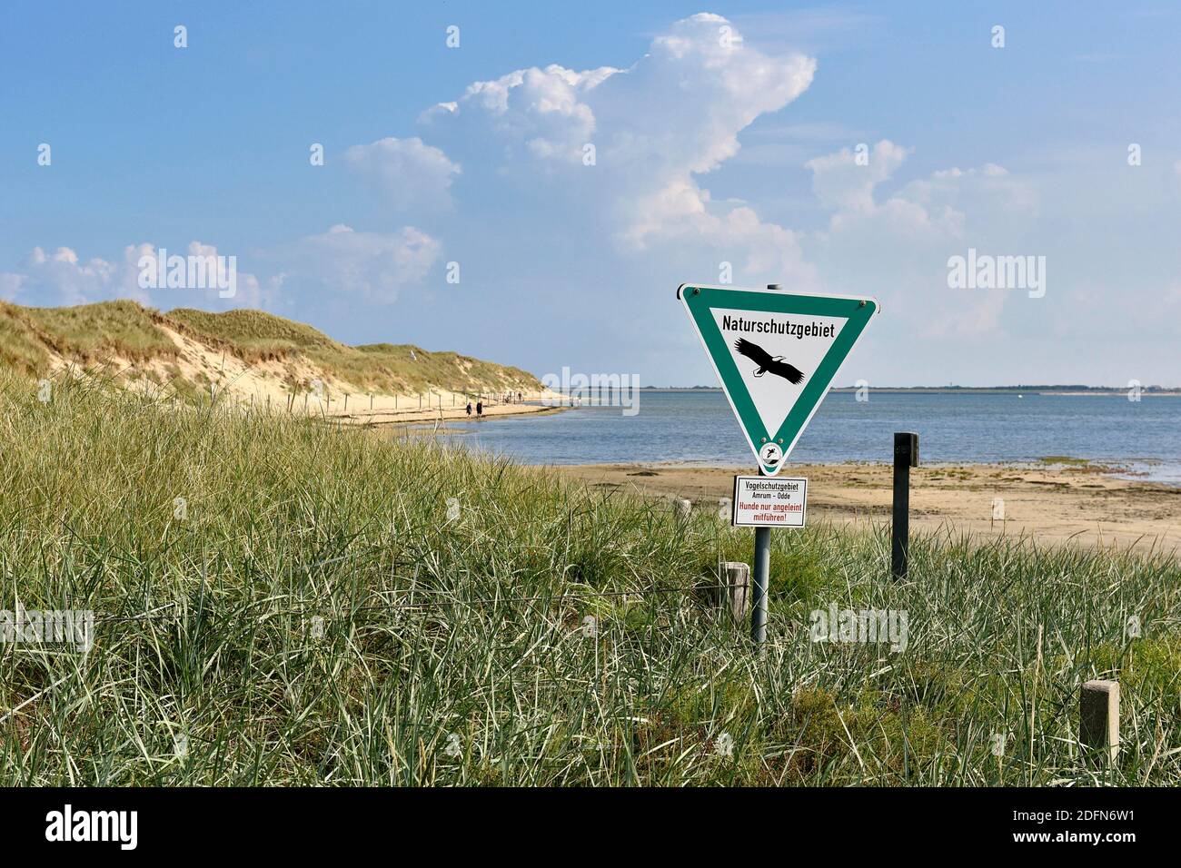 Ufer des Wattenmeeres bei Odde, Amrum, Nordfriesische Insel, Nordfriesland, Schleswig-Holstein, Deutschland Stockfoto