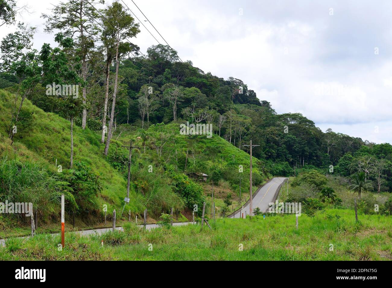 Schwindende Regenwälder entlang der Straße 436, in der Nähe von Tena, Provinz Napo, Ecuador Stockfoto