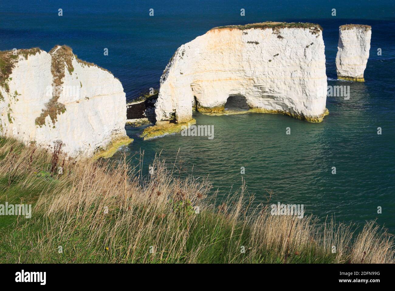 Old Harry Rocks, Swanage Bay, Chalk Cliff Coast, Bournemouth, Jurassic Coast World Heritage Site, Dorset, England, Vereinigtes Königreich Stockfoto