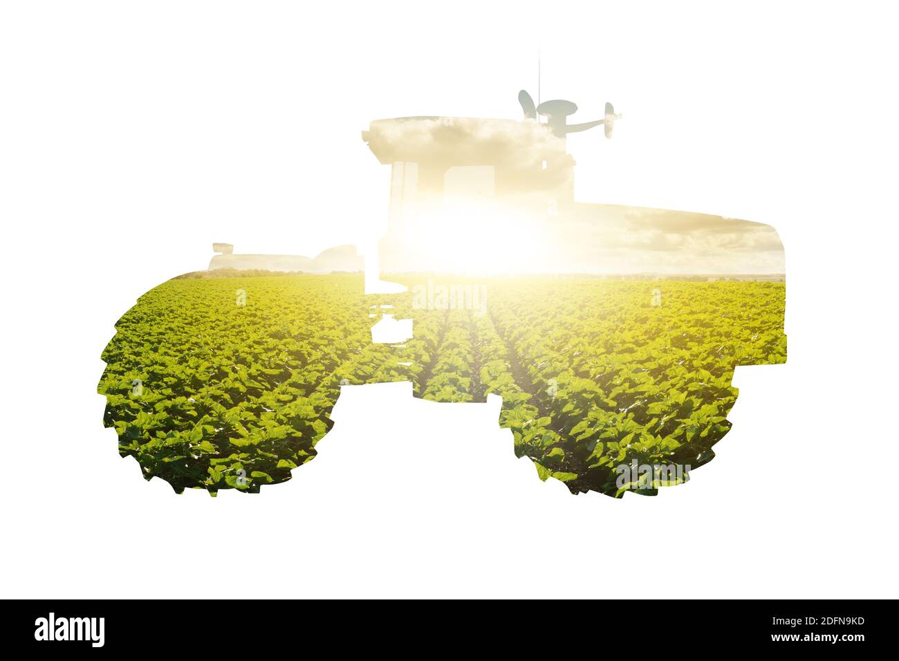 Silhouette eines Traktors mit landwirtschaftlichem Feld Stockfoto