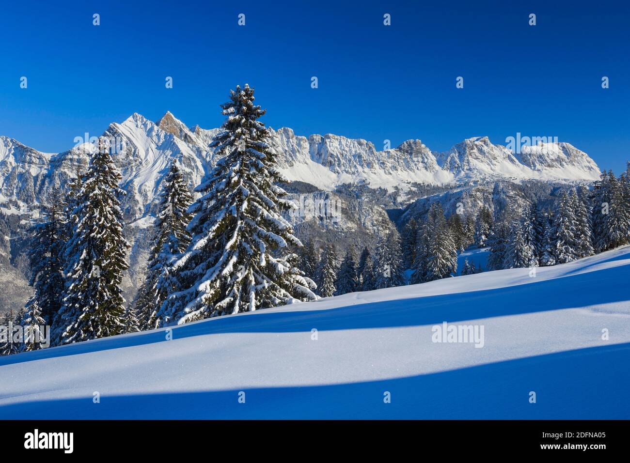 Alvier Group, Alvierkette, St. Gallen, Schweiz Stockfoto