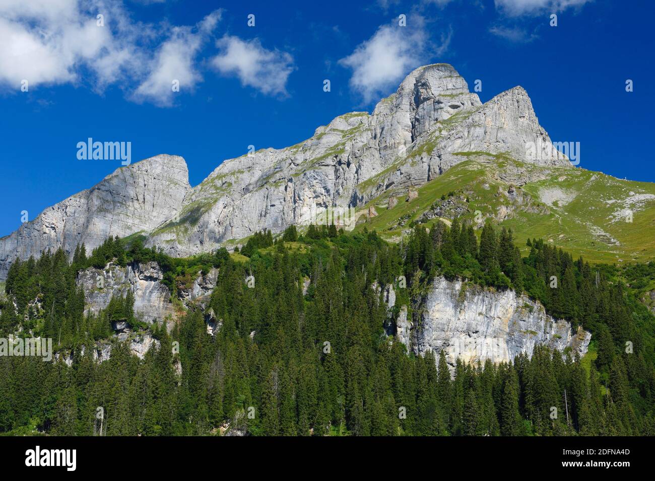 Eggstock, Braunwald, Glarus, Glarner Alpen, Schweiz Stockfoto