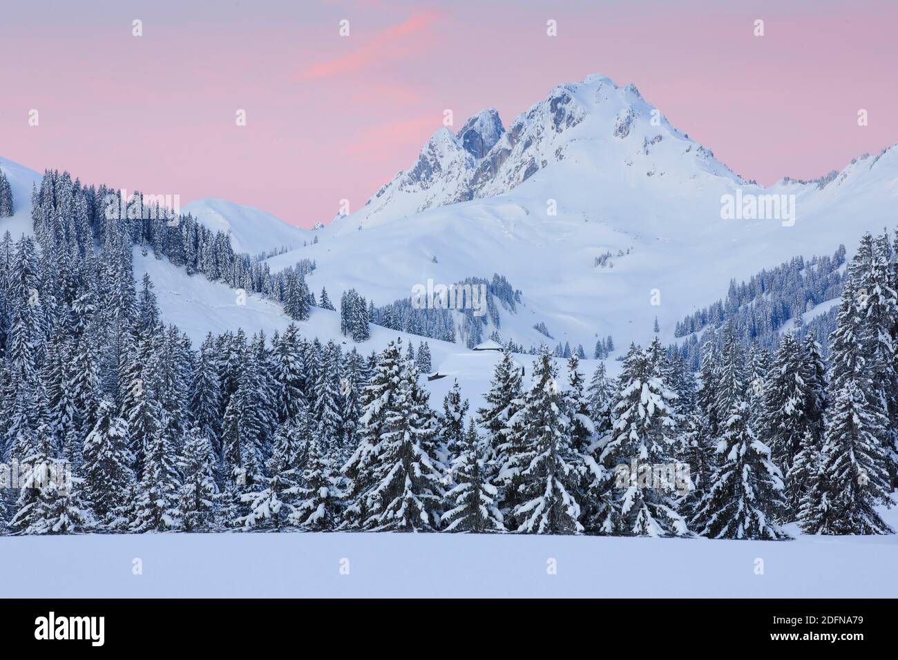 Wandflue, 2133m, Blick vom Jaunpass, Berner Oberland, Schweiz Stockfoto
