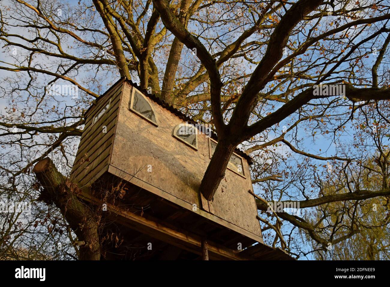 Ein Haus gebaut Baumhaus in einem Shropshire Garten Stockfoto