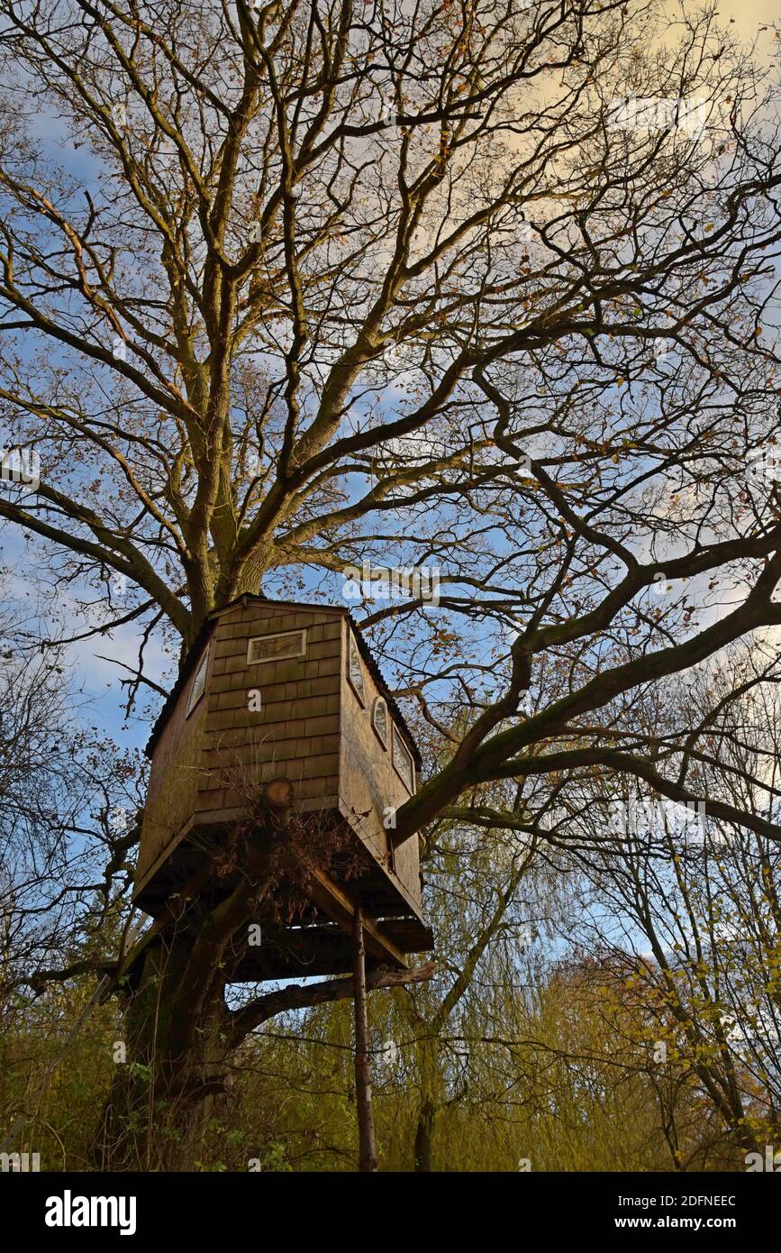 Ein Haus gebaut Baumhaus in einem Shropshire Garten Stockfoto
