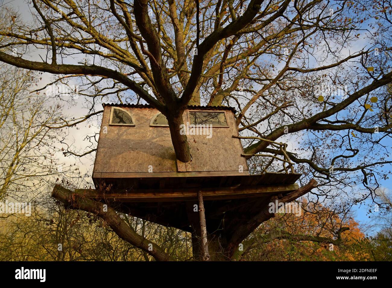 Ein Haus gebaut Baumhaus in einem Shropshire Garten Stockfoto