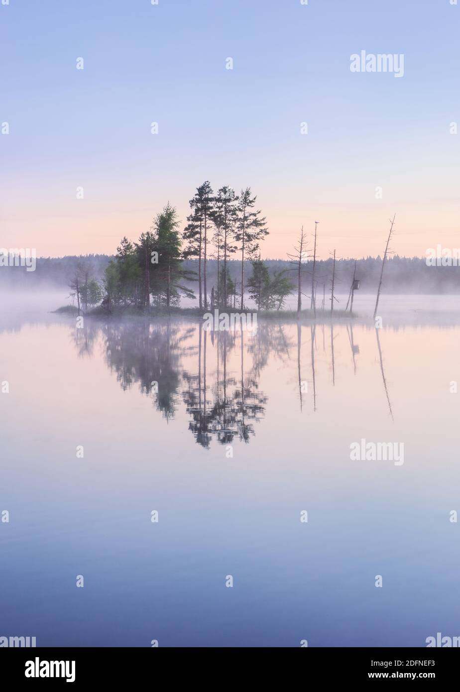 Malerische Naturlandschaft mit Stimmungsnebel und schönem Sonnenaufgang Früher Sommermorgen in Finnland am See Stockfoto