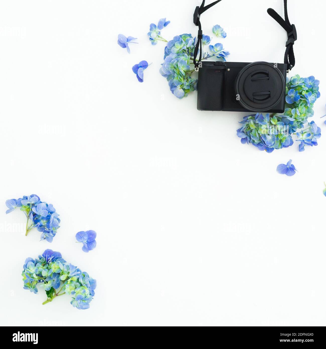 Retro-Filmkamera und rosa Blumen auf weiß. Flach liegend, Draufsicht Stockfoto