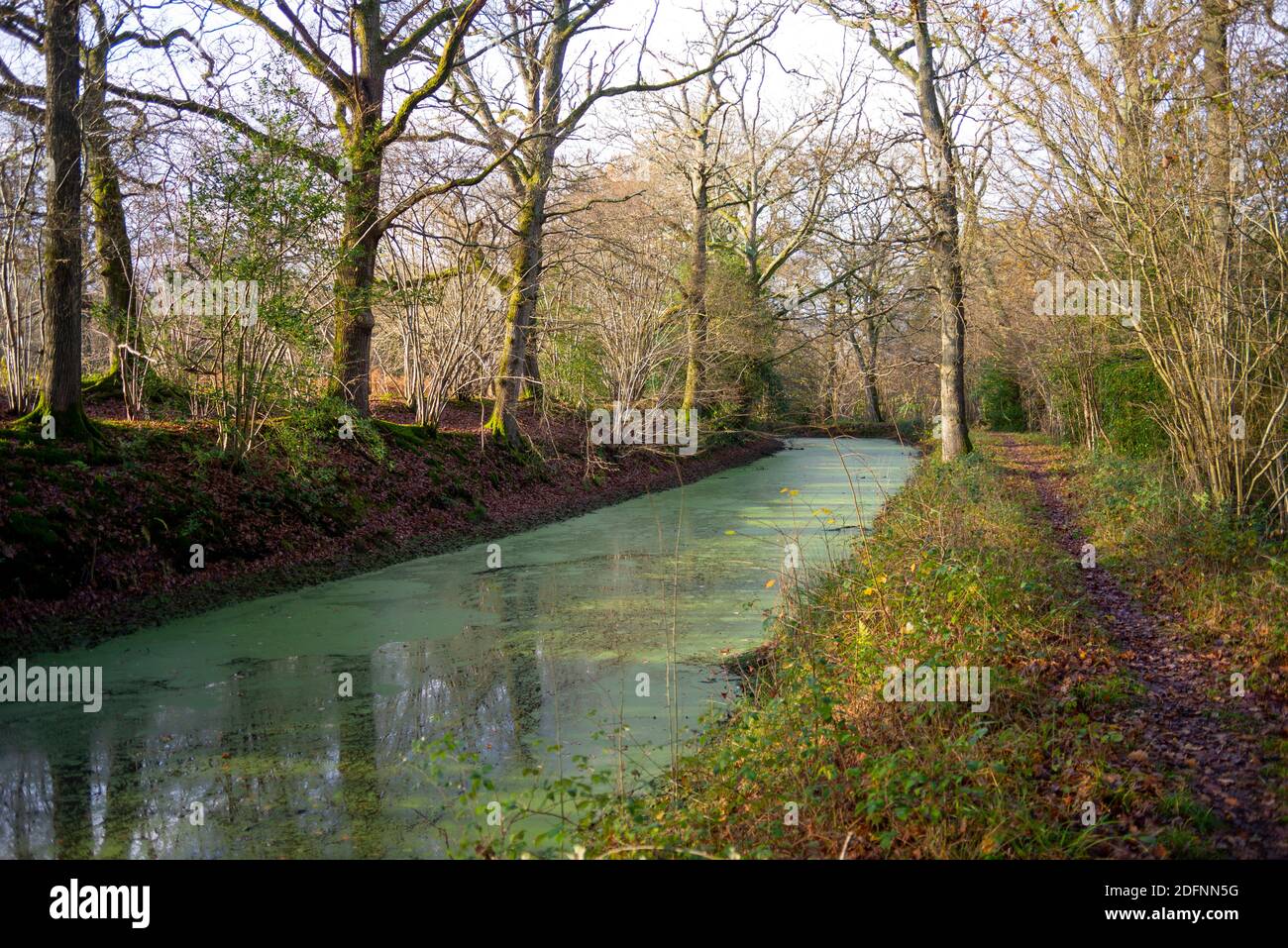 Abschnitt des Wey- und Arun-Kanals nur mit kleinen Booten befahrbar. Nicht mit navigierbaren Abschnitten verbunden. Towpath ist Teil des Wey South Path öffentlichen Pfad Stockfoto