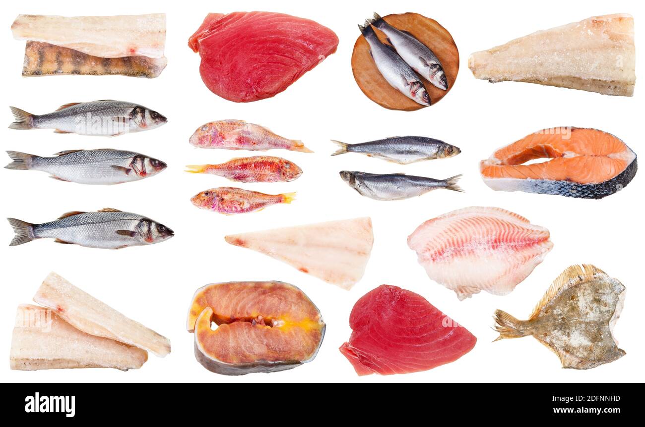 Sammlung von gefrorenen rohen Fischen (Kabeljau, Lachs, Zander, Zander, Hecht-Barsch, Stör, Thunfisch, Seebarsch, Forelle, Meerbarsch, Hering, Steinfisch, Seerich, Seezunge, e Stockfoto