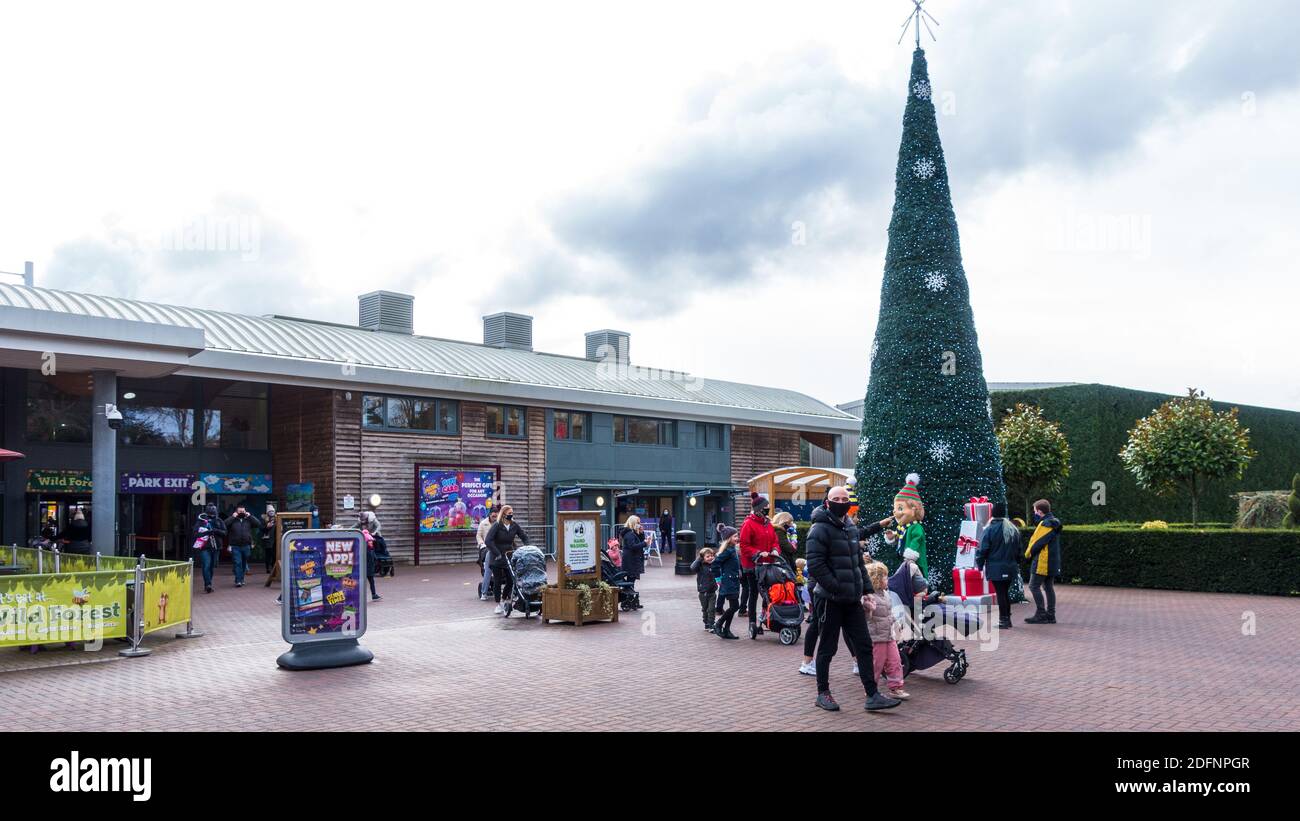 Weihnachten im Paulton Park Stockfoto