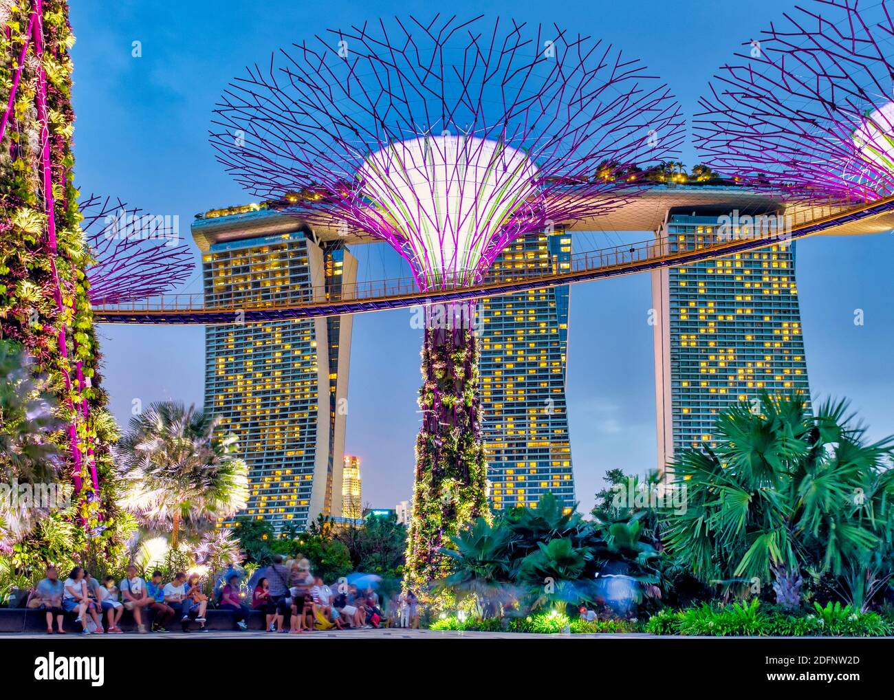 SuperTree Grove Gardens by the Bay, Singapur Stockfoto