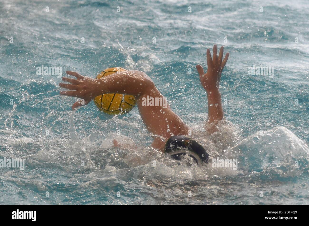 6. Dezember 2020, Savona, Italien: Savona, Italien, Zanelli Pool, 06. Dezember 2020, EDWARDS Lachlan Robert (CE Mediterranei) während des Wasserball-Spiels Potsdam gegen Mediterrani - len Euro Cup (Bild: © Danilo Vigo/LPS via ZUMA Wire) Stockfoto