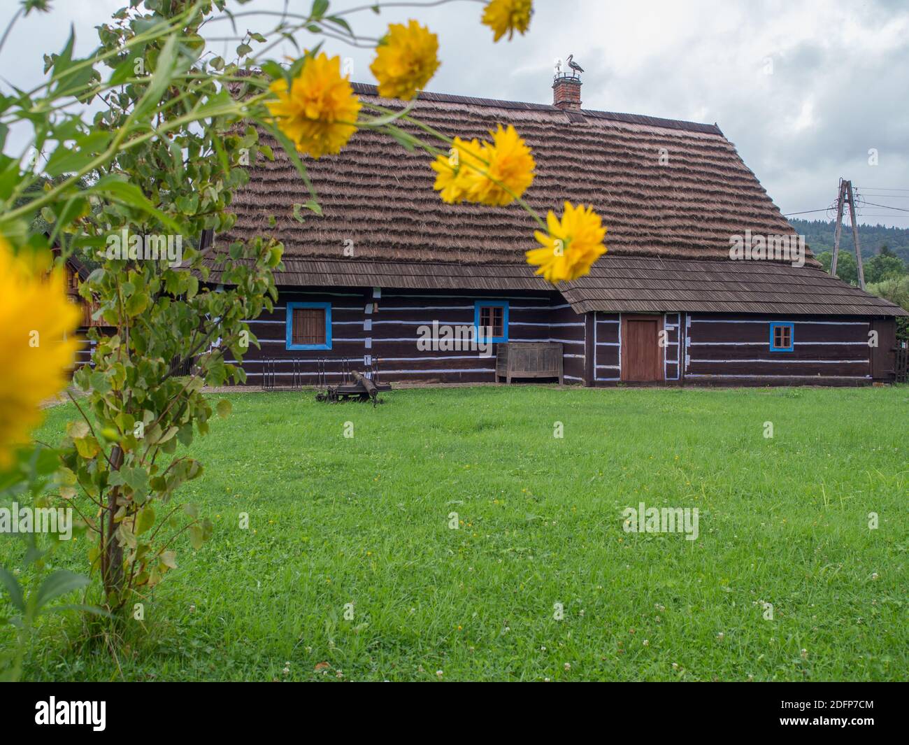 Zyndranowa, Polen - 13. August 2017: Typisches Lemko Holzhaus mit einem Storchennest auf dem Dach im Museum der Lemko Kultur Stockfoto