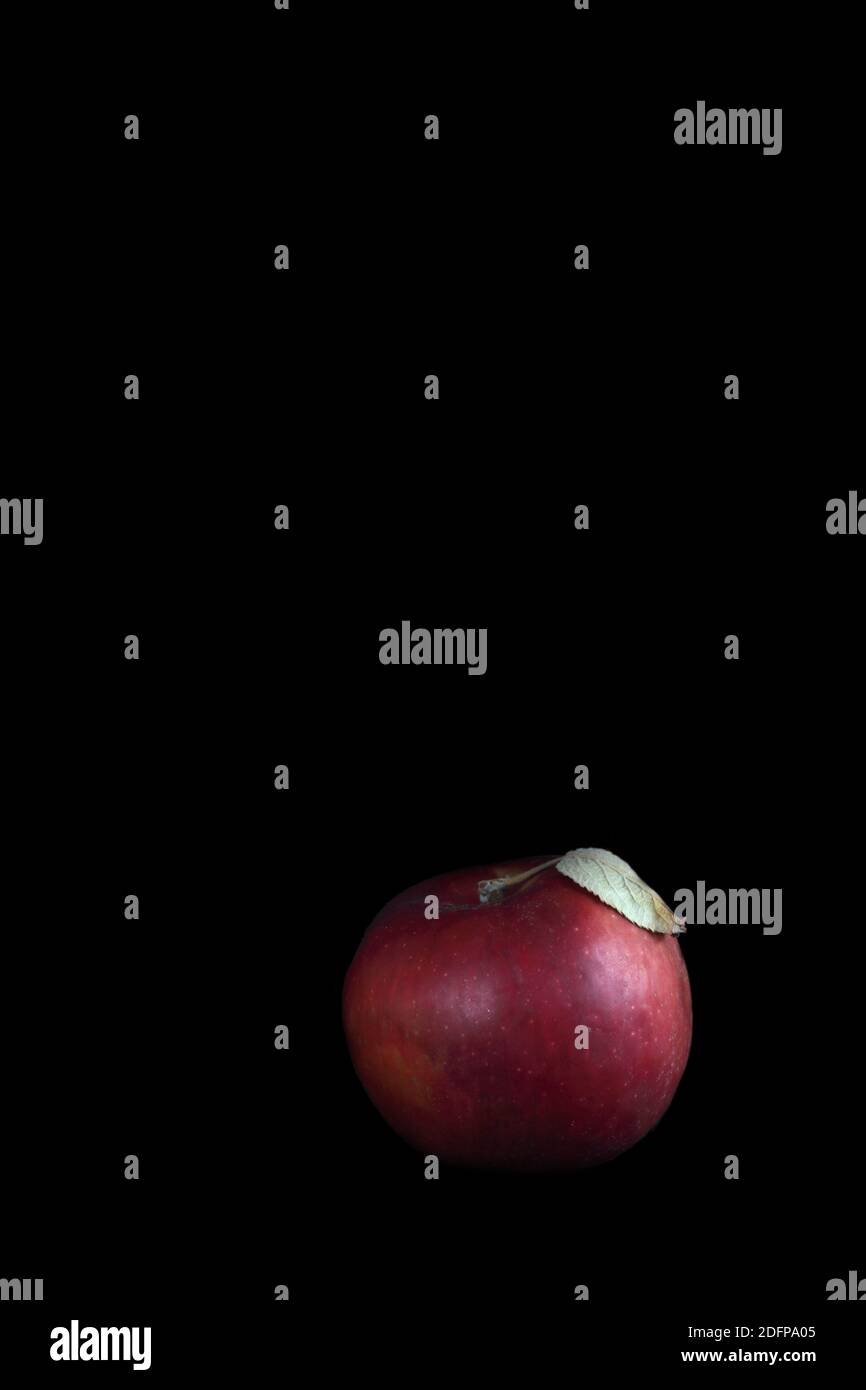 Roter Apfel isoliert auf schwarzem Hintergrund vertikales Bild. Das Bild enthält den Kopierbereich Stockfoto
